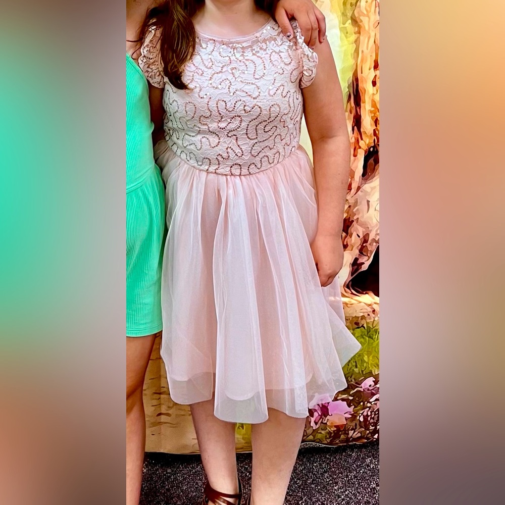 Cat & Jack 10/12 Girls Pink sparkly Tulle Dress